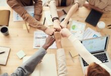 business financial model insights