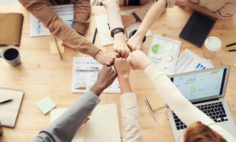 business financial model insights