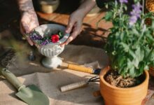 financial tools for growth