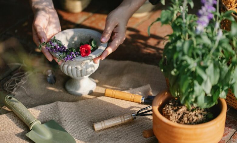 financial tools for growth