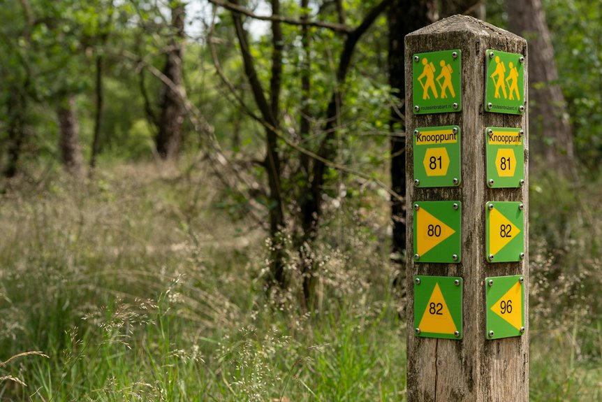 lbc customer service contact