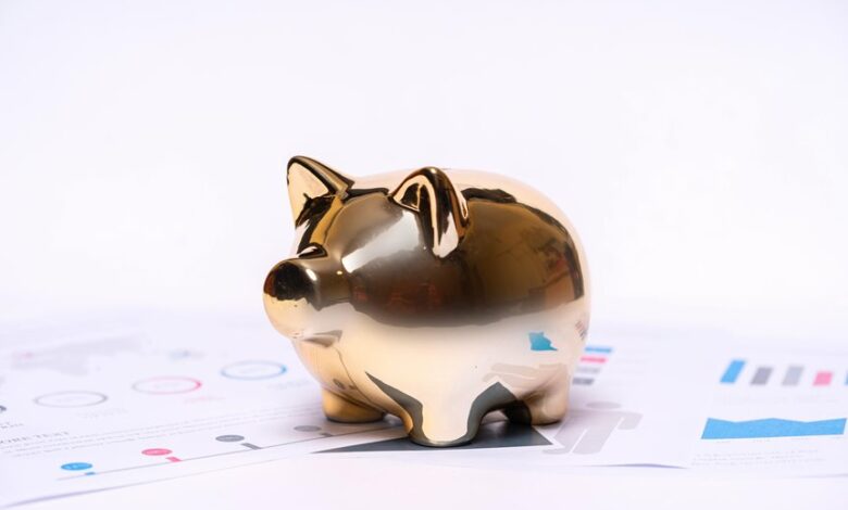 allison ellsworth s financial status