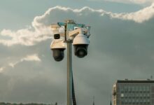 digital network regulation authority