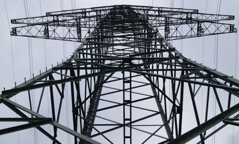 support line for businesses