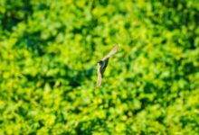 optimize systems quickly now