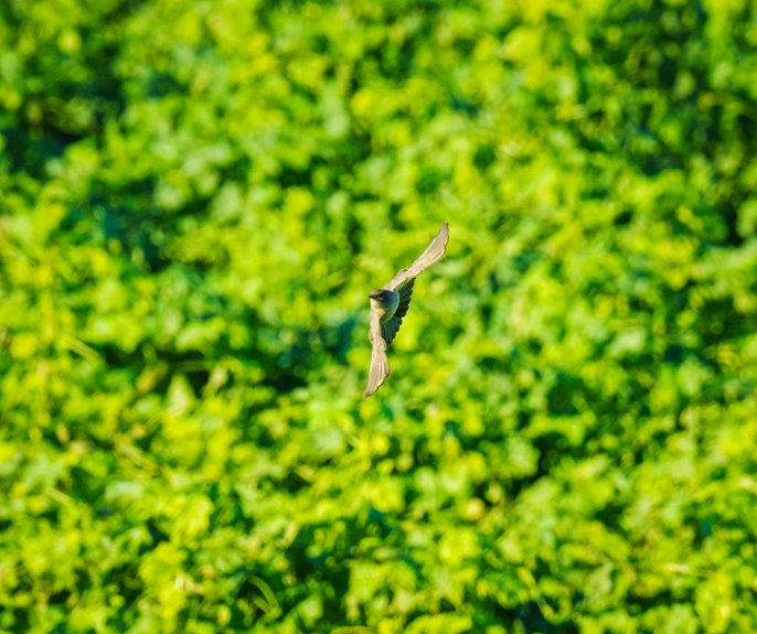 optimize systems quickly now